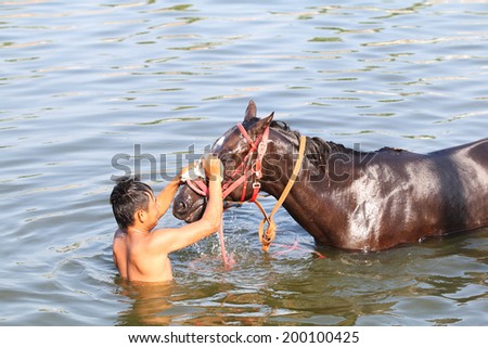 Nakhonratchasrima,Thailand - May 2014 a man cleaning a horse in river