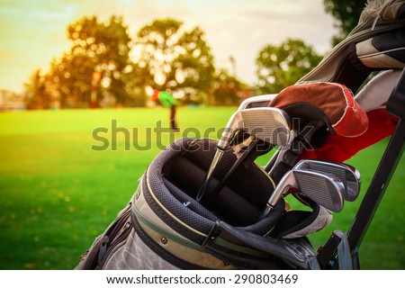 closeup old golf bags on green