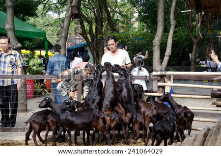 BANGKOK -JAN 1. An unidentified man feeding food to goats on January 1, 2014 at Dusit Zoo in Bangkok, Thailand.