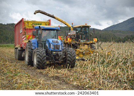 GREYMOUTH, NEW ZEALAND, CIRCA JUNE 2014: Farmers harvest a crop of maize for silage on a dairy farm in Westland, New Zealand circa June 2014