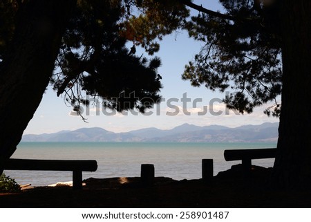 Pine trees frame a summer\'s day at Ruby Bay picnic area near Nelson in the South Island of New Zealand