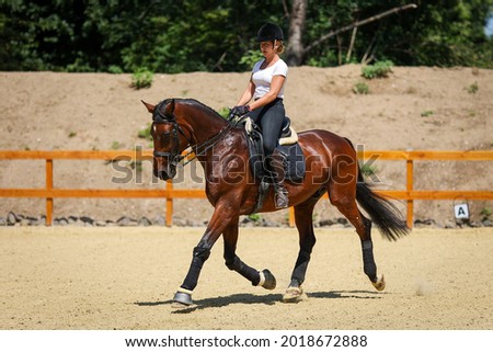Horse dressage with rider during training, on the diagonal in a strong trot during the suspension phase. Photo stock © 