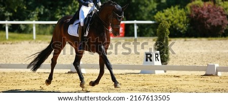 Dressage horse with rider in a strong trot during the test on the diagonal. Photo stock © 