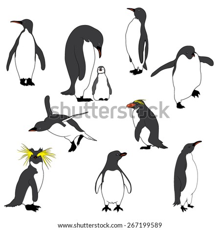 Illustration of the Penguins. Vector Image