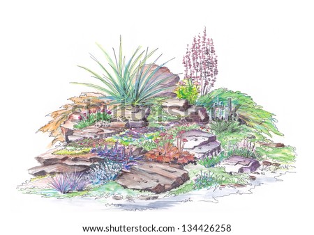 Painted by watercolor example garden landscaping alpine slide style