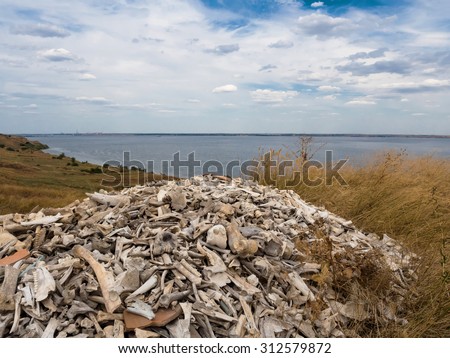Ancient pile of bones in destroyed town of Olbia on the banks of the Bug estuary