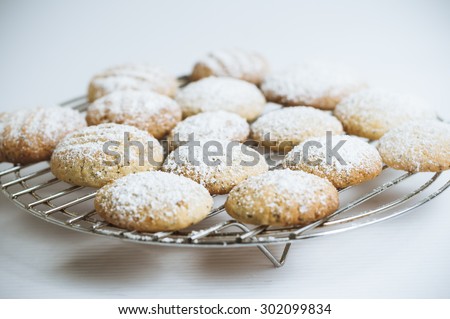 Sugar-dusted lemon and poppy seed biscuits, fresh and homemade, resting on a cooling rack, with pale seamless background.