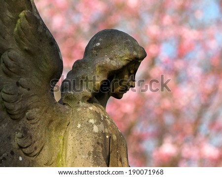Statue of an angel with a spring tree background