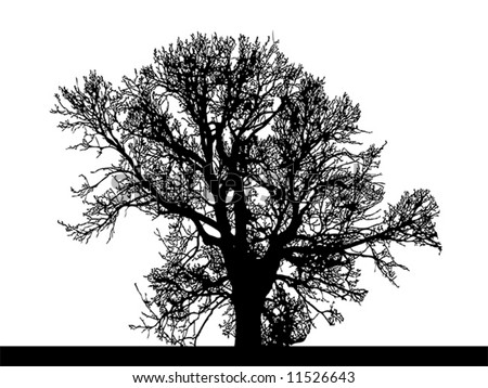 Vector Illustration Of Silhouette Of Big Tree With Different ...