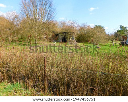 Similar – Image, Stock Photo unused land in the middle of the city