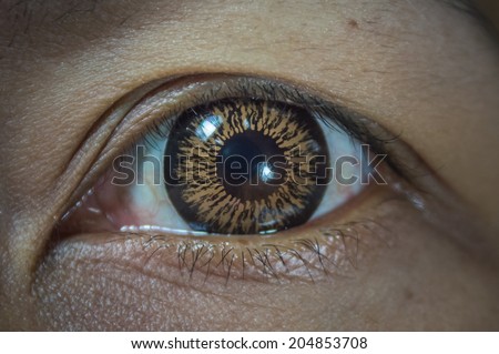 Closeup of beautiful female eye wearing contact lens