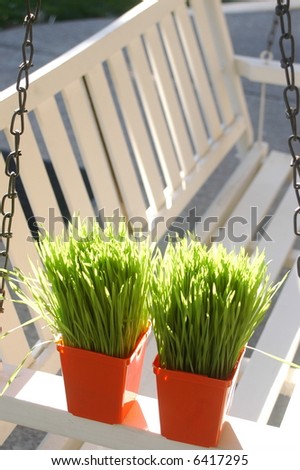 white porch swing and pots of grass