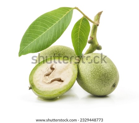 Similar – Image, Stock Photo green walnuts on the tree