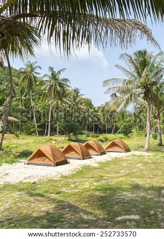 travel camp on sand in exotic forest with clear sky and palm trees around