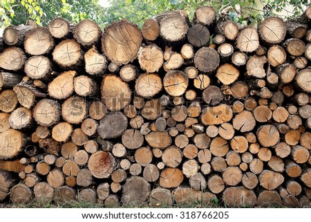 texture of wood use as natural background of a pile of natural wooden logs , front view