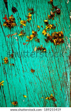 Vintage Old Nice Wooden Bench Green Mint Color with Dry Tree Flower Leaf for background,wallpaper and texture.
