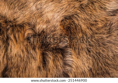 Dark Brown Fur Natural, Wolf Fox, Animal Wildlife Hair Fur / Concept and Idea Style for Background, textures and wallpaper. Close up Full Frame.