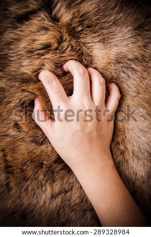 Hand Touching Fur (Dark Brown, Wolf Fox) Animal Mountain Wildlife / Concept and Idea of Hunting, Anti Fur and Wearing Fashion Industry or for Background, textures and wallpaper, close up full frame.
