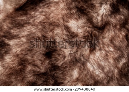 Fur, Dark Brown. Wolf Fox Skin. Natural Mountain Wildlife Animal. Concept and Style for Background, Texture and Wallpaper, Close up Full frame.