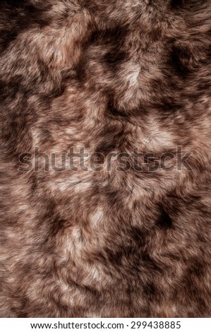 Fur, Dark Brown. Wolf Fox Skin. Natural Mountain Wildlife Animal. Concept and Style for Background, Texture and Wallpaper. Vertical Close up Full frame.