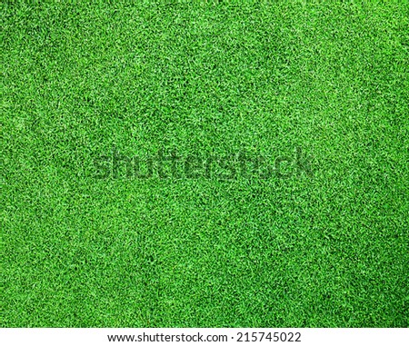 Golf green grass background texture pattern nature.
