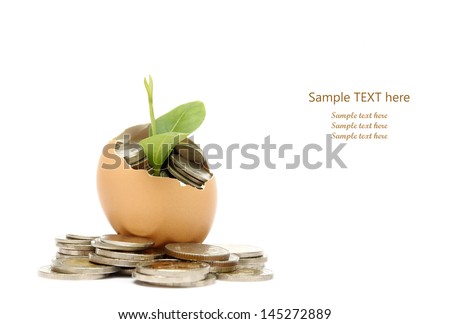 Money tree growing from the coins inside egg.  Money financial concept.
