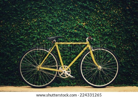 Yellow bicycle on leaf wall background, vintage style