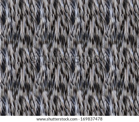 Abstract gray background. Feather coat texture of an emu, Dromaius novaehollandiae, large Australian bird, like African ostrich.