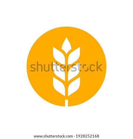 Wheat or barley outline icon. Grain symbol. Vector illustration.
