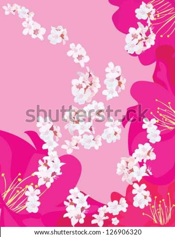 white flowers with pink and purple flowers on the pink background