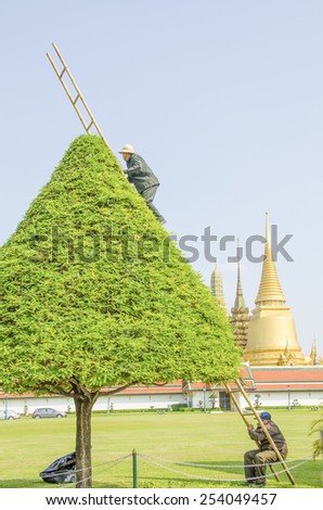 BANGKOK, THAILAND, DECEMBER 26, 2013: Royal Palace and Wat Phra Kaeo Complex - gardeners trim a tree
