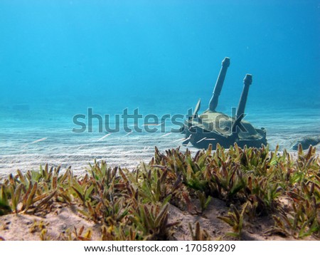 Underwater landscapes featuring broken chair wreck, sand divers and seagrass