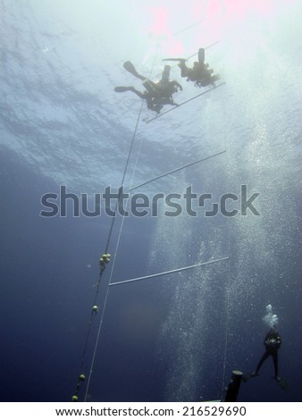 DAHAB, EGYPT - June 26, 2014: Support divers on the decompression ladder during a training dive prior to Ahmed Gabr\'s deepest scuba dive world record attempt