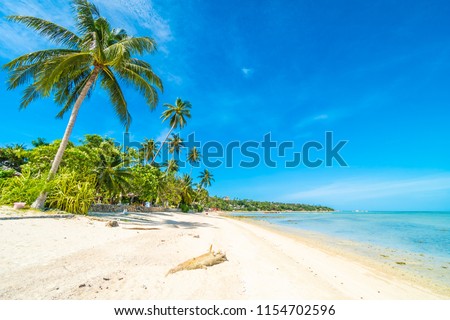 Beautiful Tropical