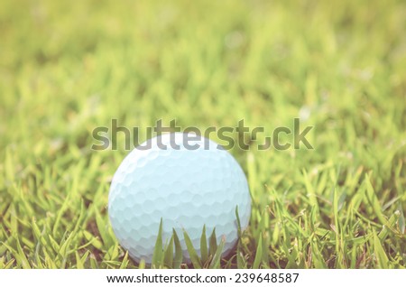 Golf ball on green grass  - vintage effect style pictures