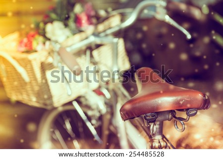 Vintage bicycle with flower - vintage effect filter and light leak and snow effect style pictures