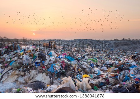 Similar – Image, Stock Photo Plastic waste on bird neck. Ducks and plastic pollution