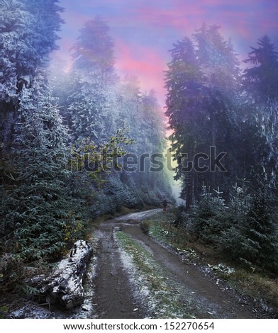 Cold snap enveloped autumn alpine forest cover of the Silver frost and deserted country road leads the traveler into the fog. Rural road to the meadow Barlebash The mountains smell near the winter