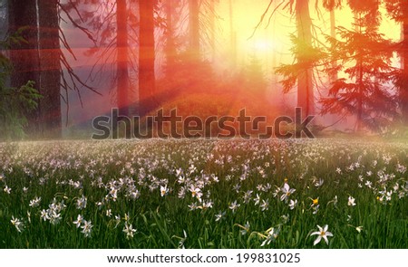 Spring turning into a very beautiful time of year, when they begin to blossom on the background of bright colors in sunrises sunsets. Manufacturers calendars artists photographers appreciate this time