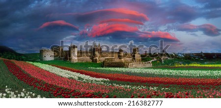 Spring summer, turning into a very beautiful time of year, when they begin to blossom on the background of bright colors in sunrises sunsets Manufacturers calendars, artists, photographers appreciate