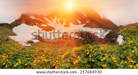 In the spring the snow melts in the Carpathians flowers bloom luxuriantly. This time, spring break-favorite for alpine trips in the Carpathians, Ukraine. Marmarosh-its slopes similar to the Caucasus.