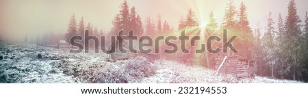 Alpine autumn panorama, scenic sunrise in the beautiful Carpathian forest after rain shining colors and the freshness and coolness of the morning - will clear the new day and good weather after  storm