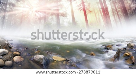 Mountain River at sunrise in a beautiful misty forest after a storm, with silky waves among the wet stones photographed long exposure on the background of the old forests of wild trees
