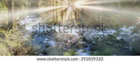 River at sunrise in the Carpathian forest - fast jet of water at slow shutter speeds give a beautiful fairy-tale effect. Ukraine is rich in water resources in the Carpathians is legendary good ecology