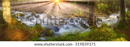sunrise in the Carpathian forest - fast jet of water at slow shutter speeds give a beautiful fairy-tale effect Ukraine is rich in water resources, in the Carpathian Mountains is legendary good ecology