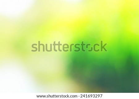 Colorful summer natural background, out of focus