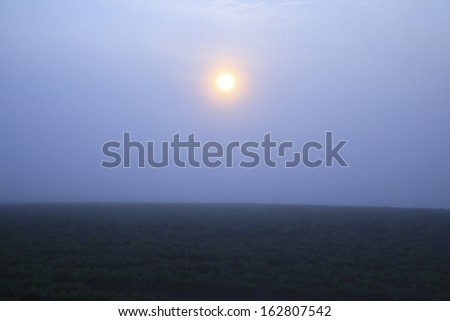 The sun which rises to Nakahata of morning mist