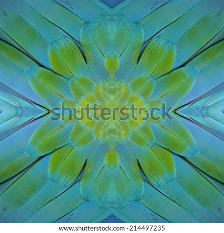 Colorful back ground pattern made from Blue and Gold Macaw feathers