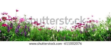 Similar – Image, Stock Photo Beautiful Garden with blooming trees during spring time