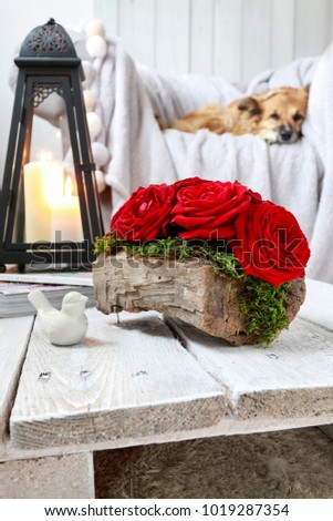 Valentine's Day floral arrangement with roses and mos inside a piece of bark. Rustic style interior. Stock fotó © 